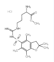 精氨酸PBF甲酯盐酸盐257288-19-0
