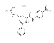 NA-苯甲酰-L-精氨酸酰-4-硝基苯胺盐酸盐21653-40-7