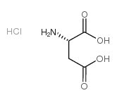  L-天冬氨酸盐酸盐17585-59-0