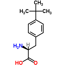   4-叔丁基苯-L-丙氨酸82372-74-5