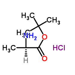  D-丙氨酸叔丁酯盐酸盐(D-瓜氨酸) 59531-86-1