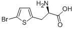 D-2-(5-溴噻吩)丙氨酸264903-54-0