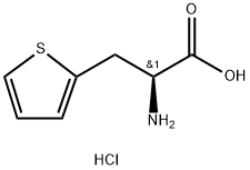  H-β- (2-噻吩基)-L-丙氨酸盐酸盐123053-24-7  