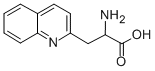 3-(2-喹啉基)-DL-丙氨酸123761-12-6