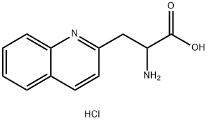 DL-2-喹啉基丙氨酸二盐酸盐92576-19-7