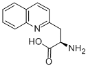 D-2-喹啉基丙氨酸170421-67-7