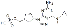  (1S,4R)-4-[2-氨基-6-(环丙基氨基)-9H-嘌呤-9-基]-2-环戊烯-1-甲醇硫酸（阿巴卡韦硫酸盐） 188062-50-2   