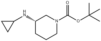 (S)-3-(环丙氨基)哌啶-1-羧酸叔丁酯1354020-81-7 