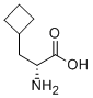     D-环丁基丙氨酸174266-00-3 