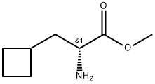  R-2-环丁基丙氨酸甲酯1251904-02-5