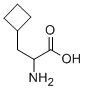     L-环丁基丙氨酸4426-06-6