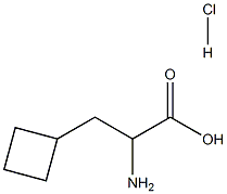  RS-2-环丁基丙氨酸盐酸盐681128-35-8