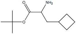   RS-2-环丁基丙氨酸叔丁酯313979-47-4