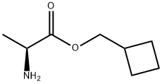  L-丙氨酸环丁基甲基酯盐酸盐261909-76-6 