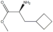 S-2-环丁基丙氨酸甲酯1251903-81-7