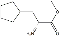   R-环戊基丙氨酸甲酯1212129-47-9