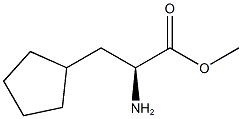     RS-环戊基丙氨酸甲酯1119833-62-3