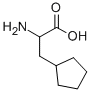   3-环戊基-DL-丙氨酸96539-87-6