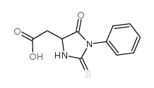 苯基硫代乙内酰脲-天冬氨酸5624-13-5