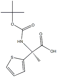 BOC-L-3-(2-噻吩)丙氨酸56675-55-8 