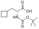 BOC-D-环丁基丙氨酸478183-61-8