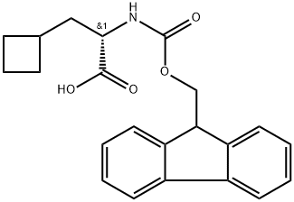  FMOC-L-环丁基丙氨酸478183-62-9 