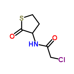 N-氯乙酰基高半胱氨酸硫内酯