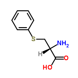 s-苯基-L-半胱氨酸