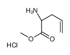 D-烯丙基甘氨酸甲酯盐酸盐